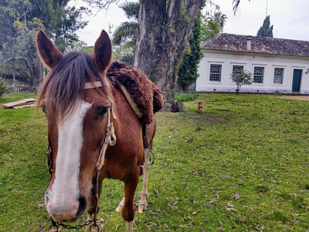 Pousada Do Sobrado Bagé Kültér fotó